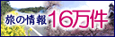 ���̏��16����